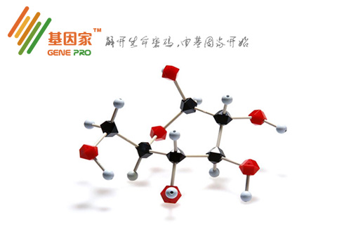 深圳鼎新融合科技有限公司